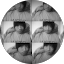 Tuan Anh Vu Avatar